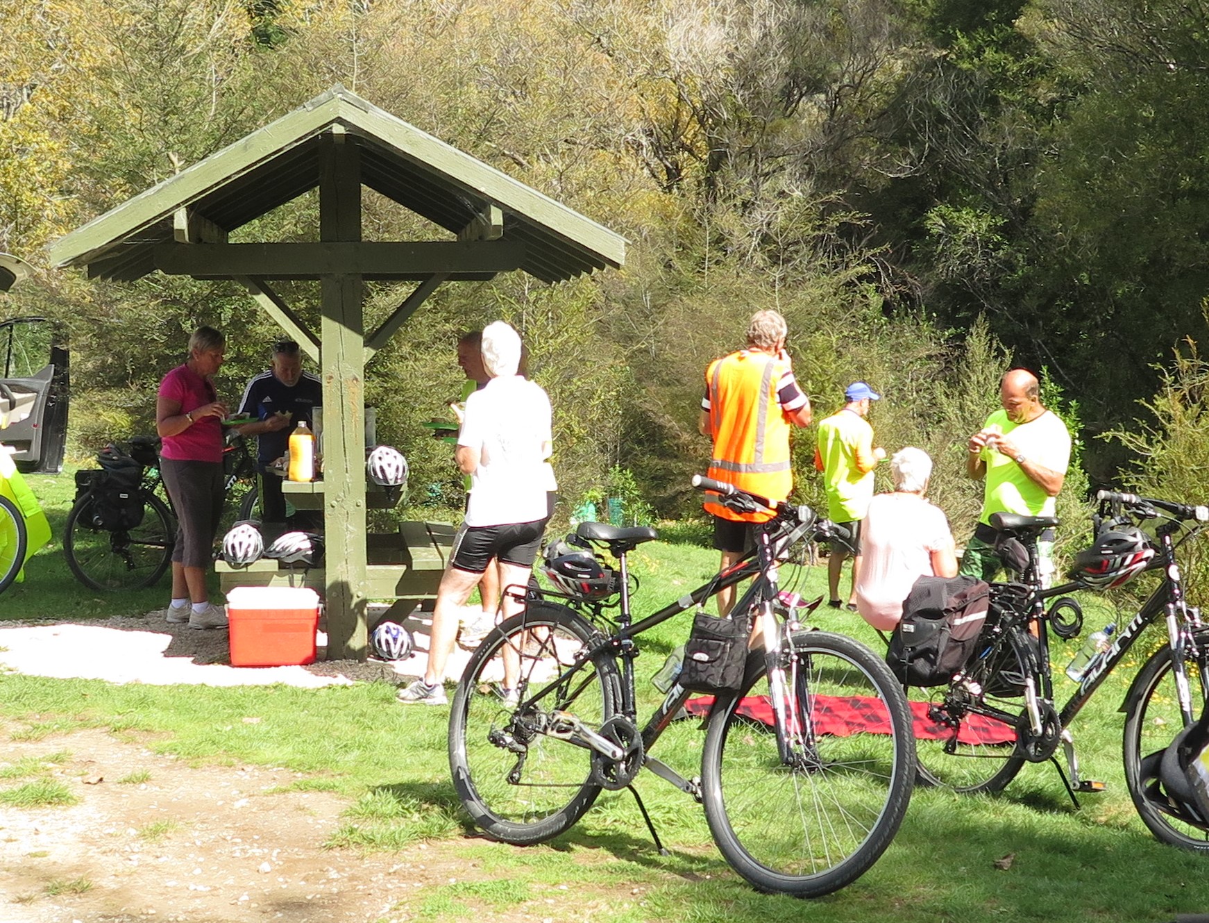 cycle tours nelson