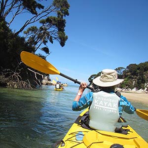<strong>Nelson</strong> Enjoy Craft Beers, Boutique Wines or Kayak the Abel Tasman.